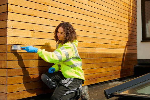 Best Siding Removal and Disposal  in Mcmechen, WV